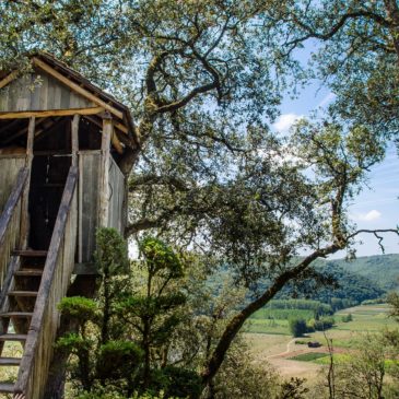 Le syndrome de la cabane : l’angoisse de sortir de chez soi