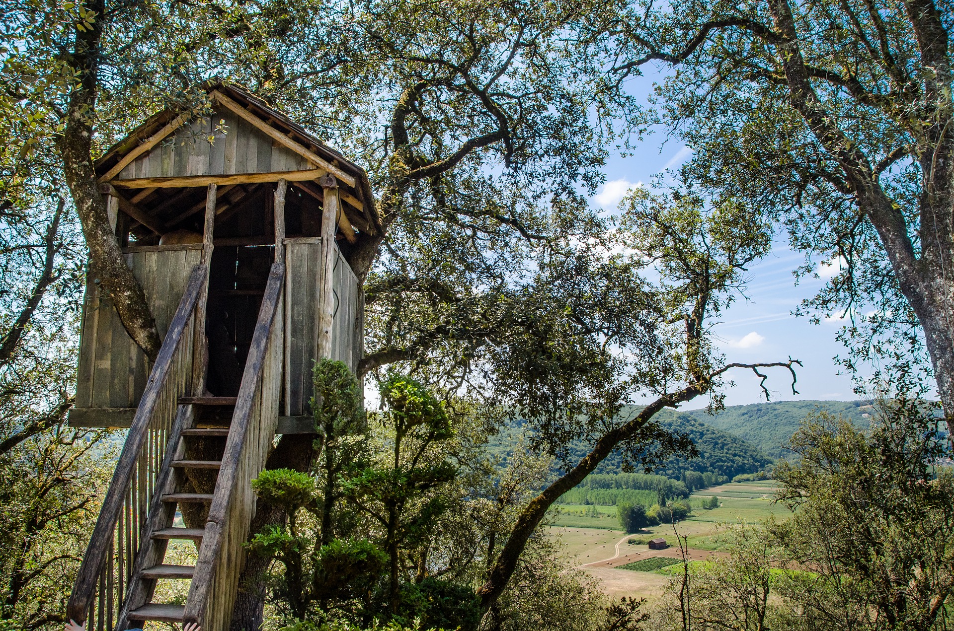 Cabane dans les arbres